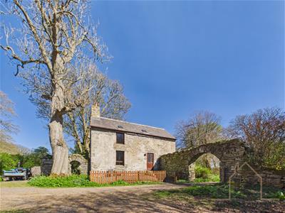 Picture 29